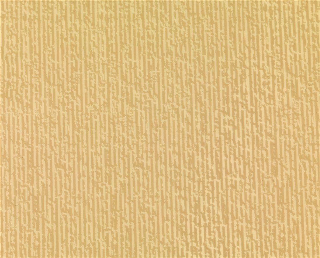 10809581367.jpg