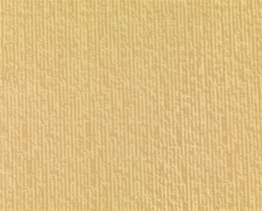 10809581367.jpg