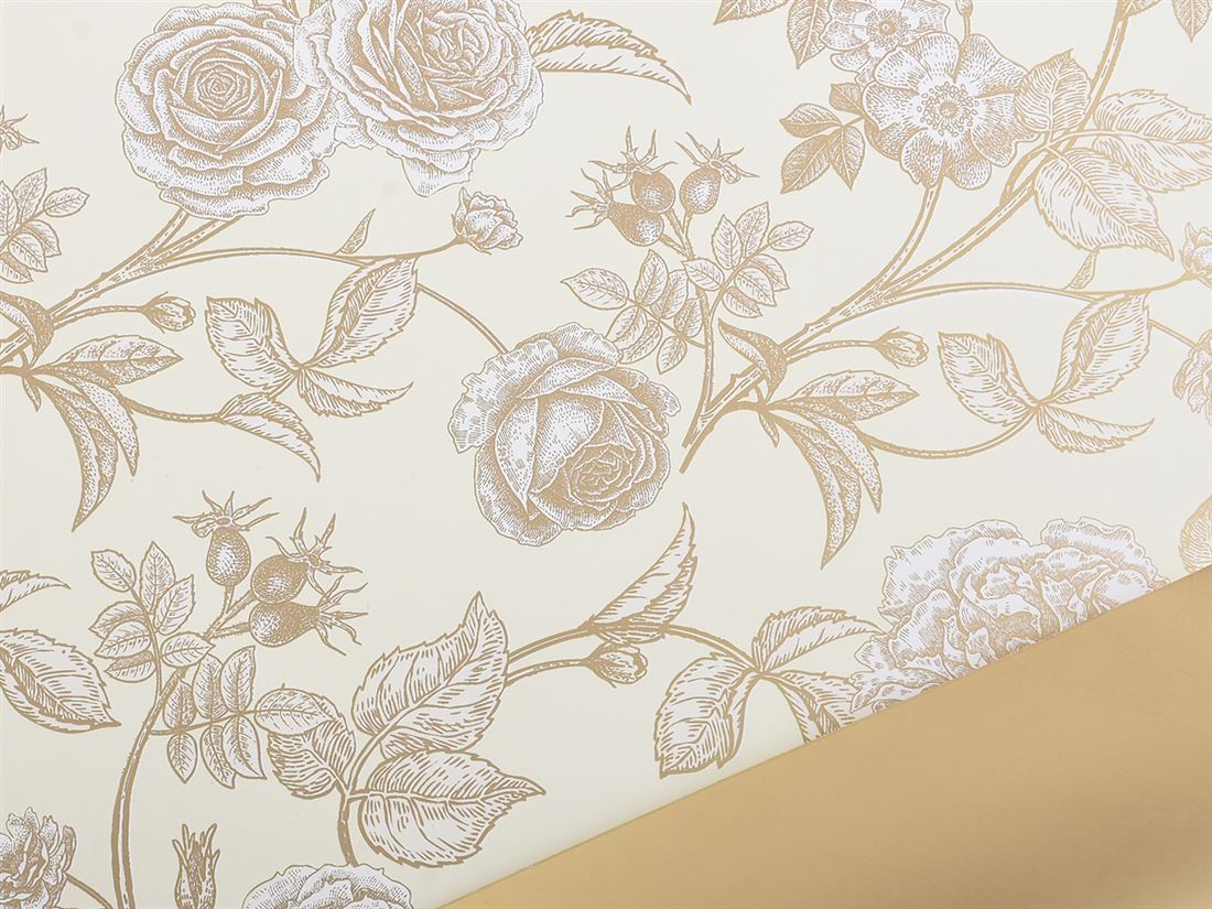 10859407725.jpg