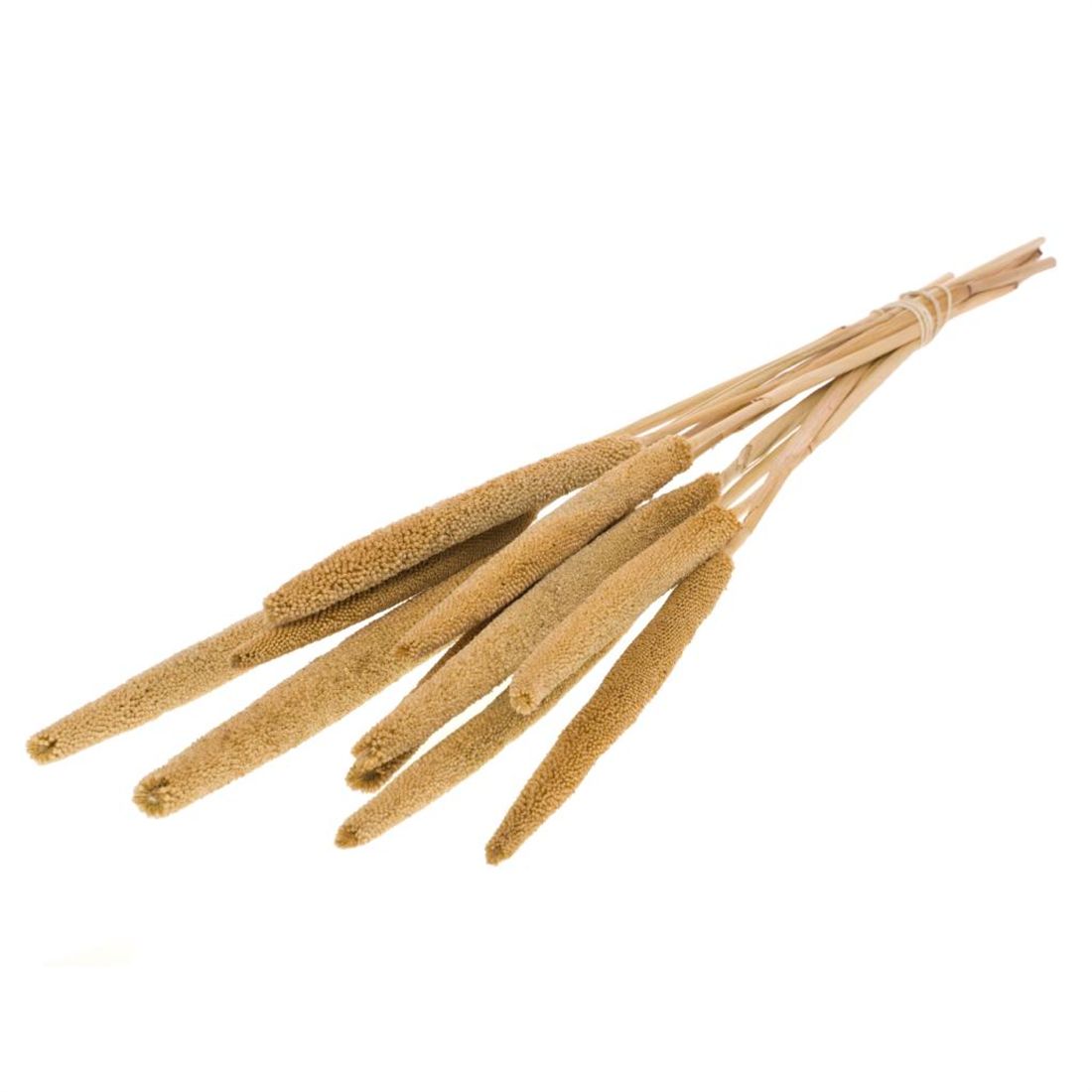 23007519380.jpg