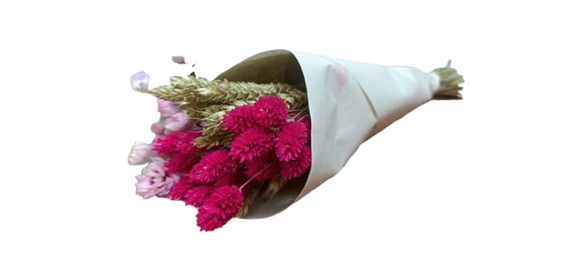 23007524210.JPG.png