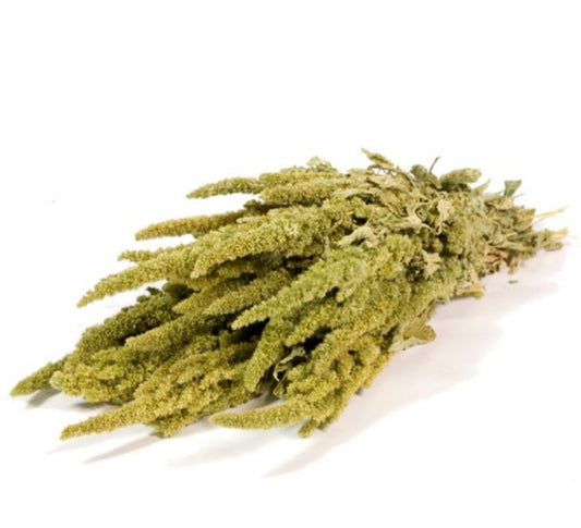 23007559900.jpg