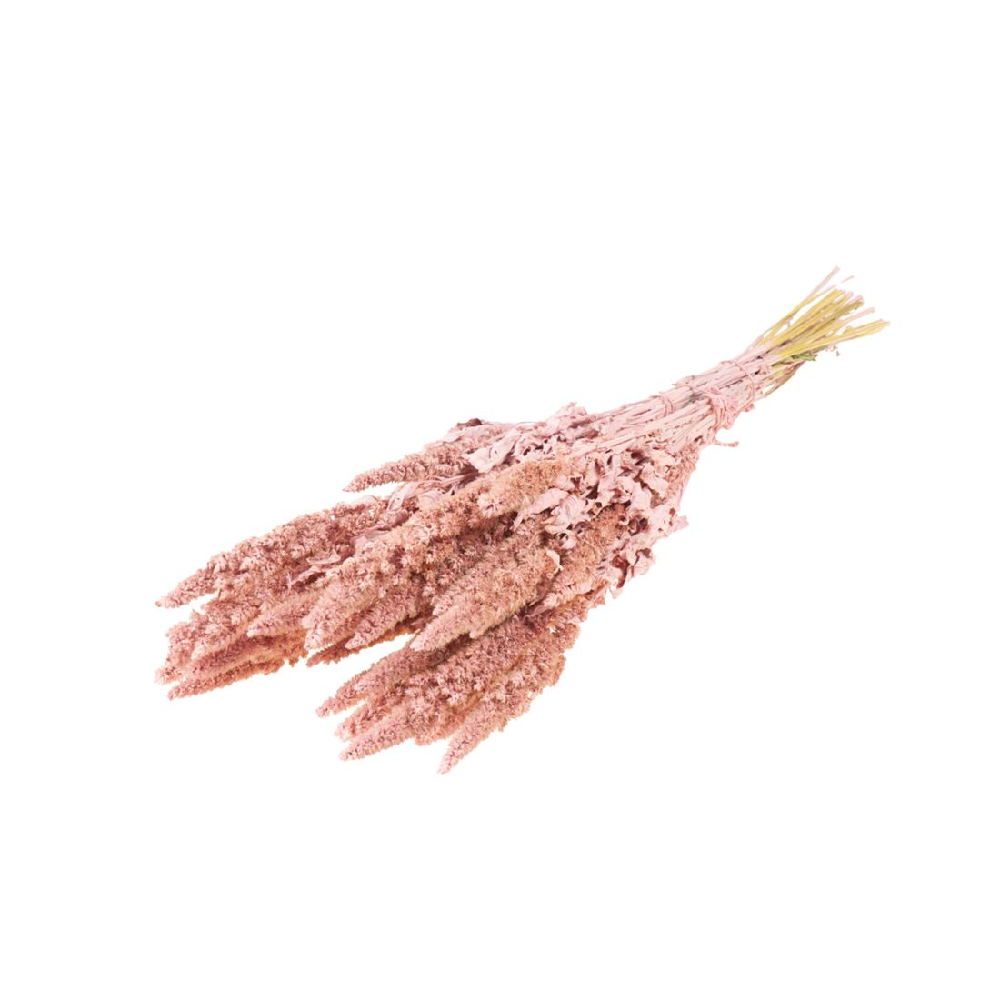 23007559957.jpg