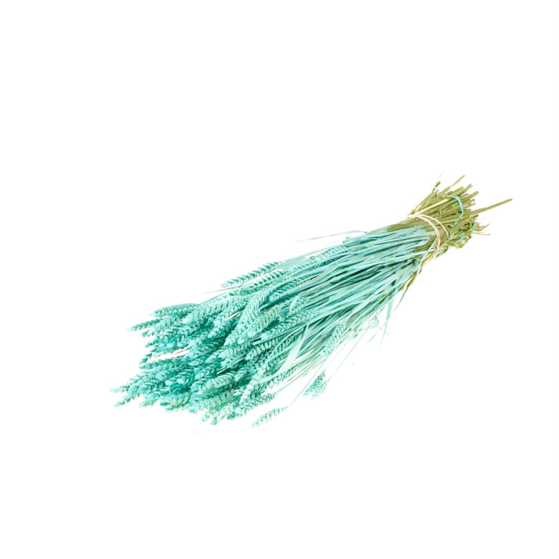 23007574231.jpg