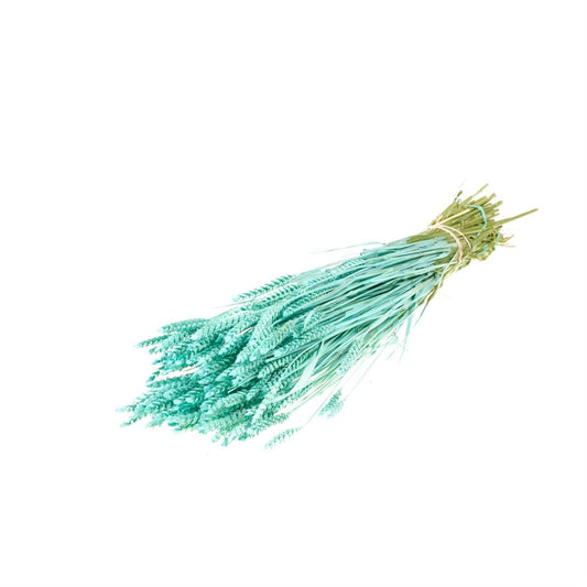23007574231.jpg