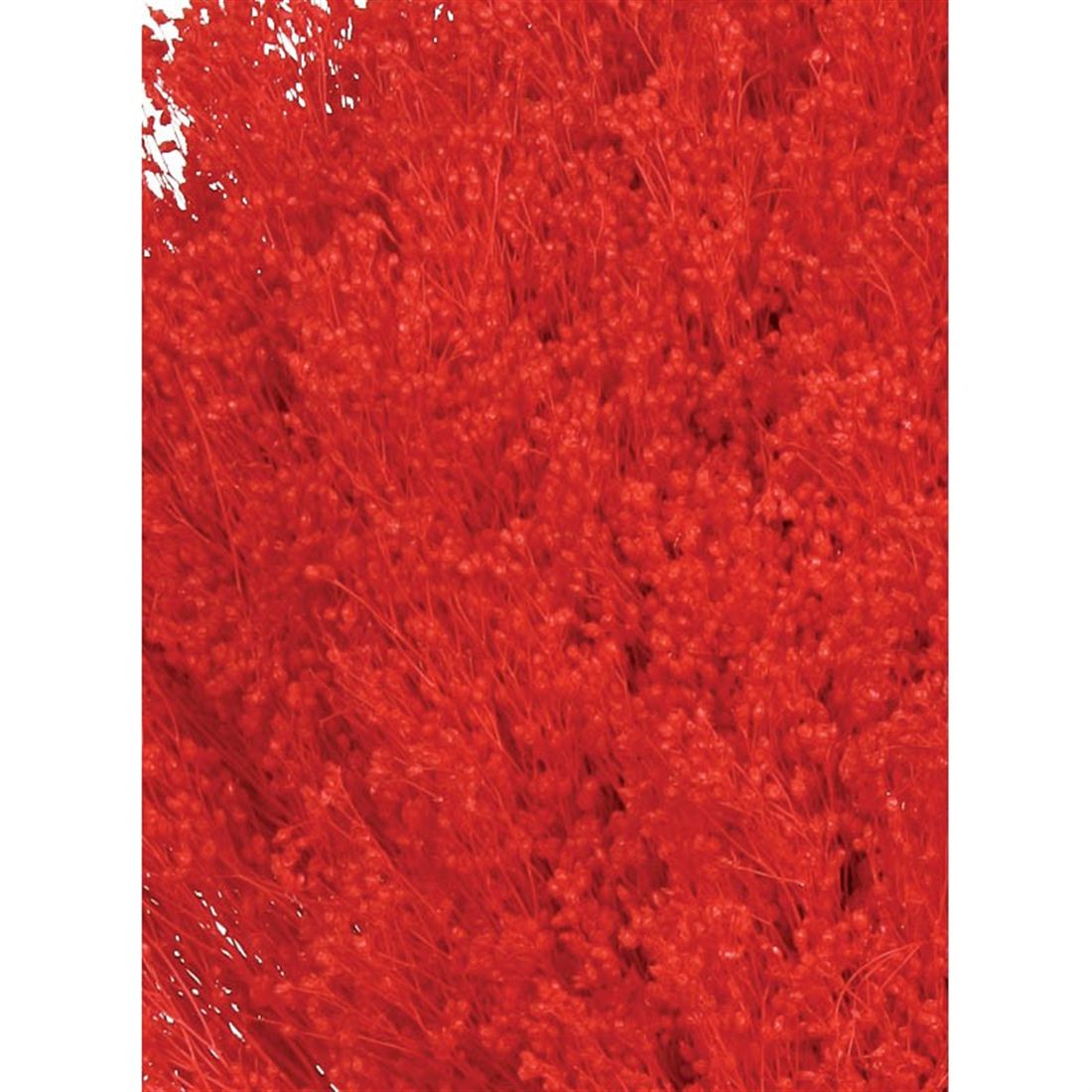 23027700654.JPG