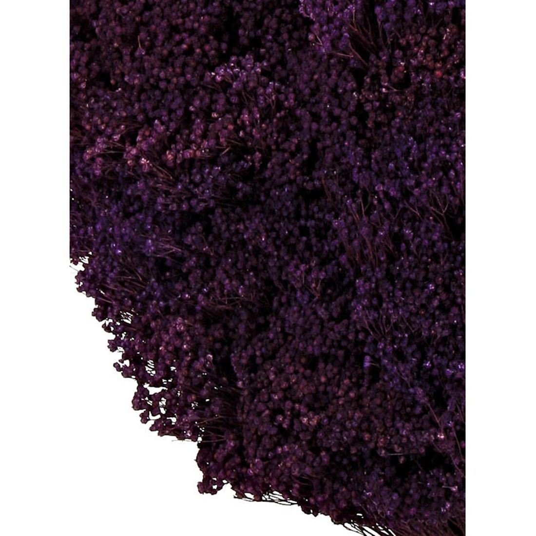 23027700688.JPG