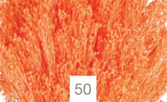 23027710650.jpg