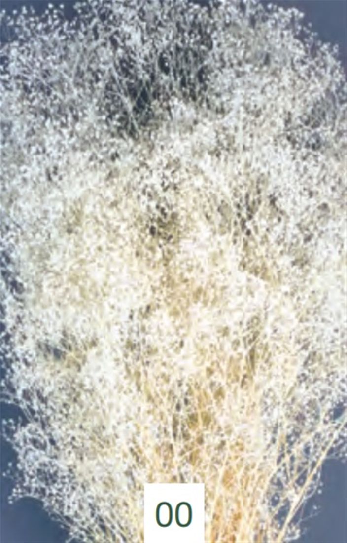 23027717700.jpg