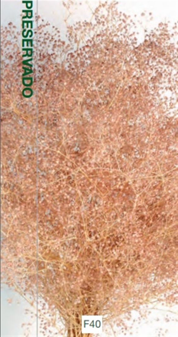 23027717744.jpg
