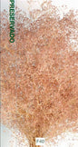 23027717744.jpg