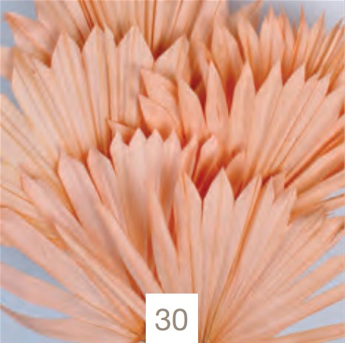 23027727130.jpg