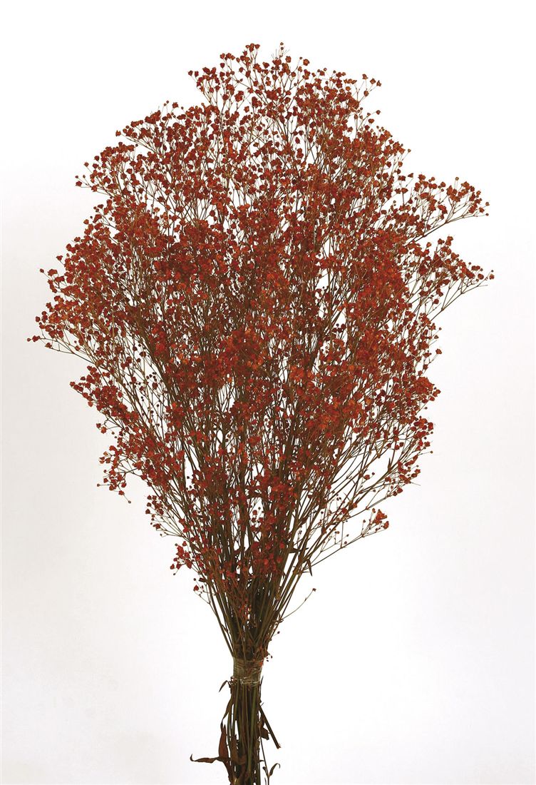 23027744254.jpg