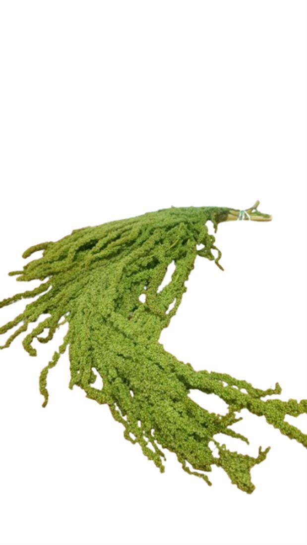 23027770569.png