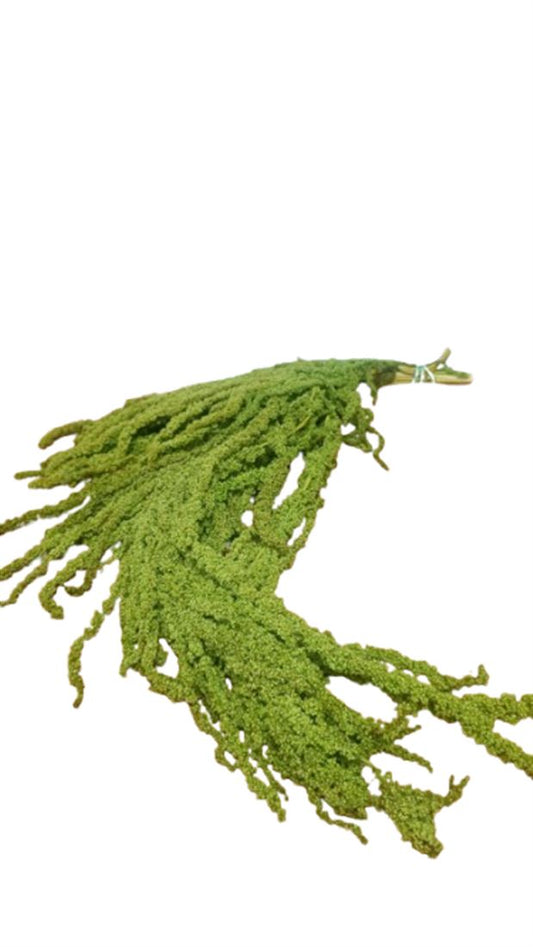 23027770569.png