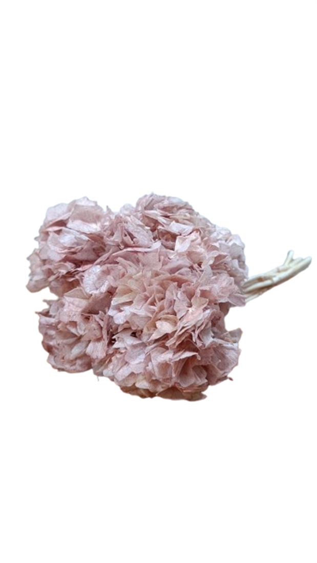 23027774004.jpg.png