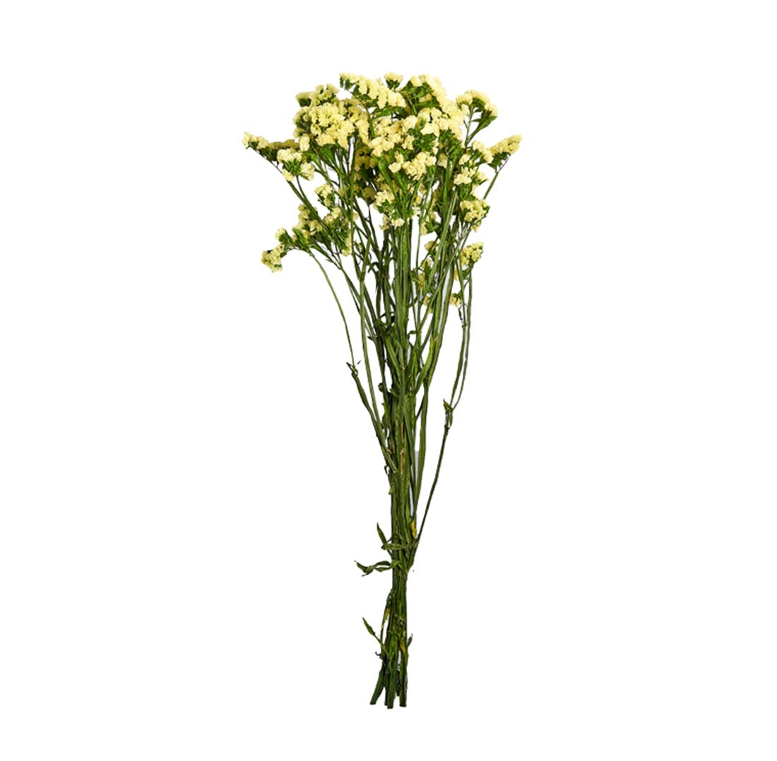 23042700310.jpg