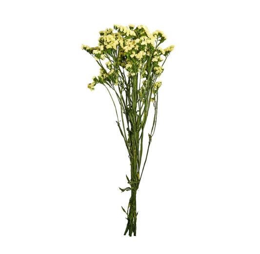 23042700310.jpg