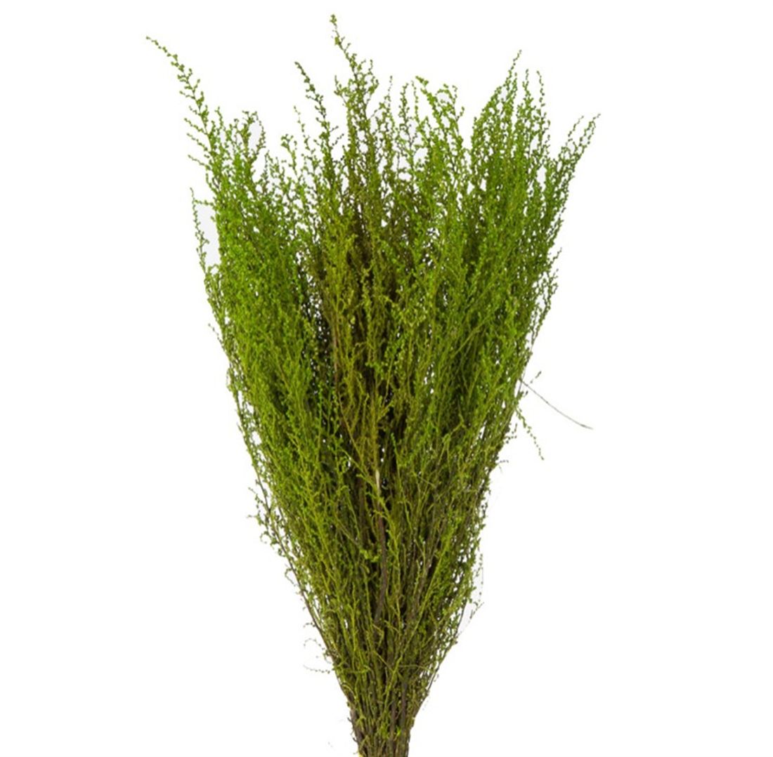 23042701030.jpg