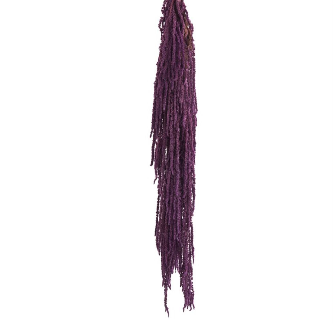 23042704824.jpg