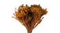 23042791036.jpg