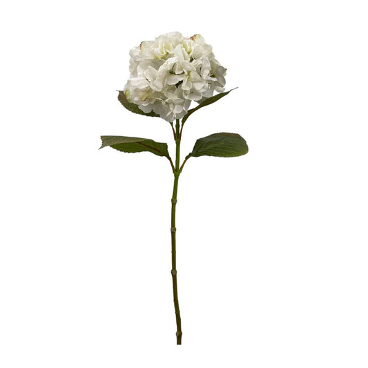 23202301100.jpg