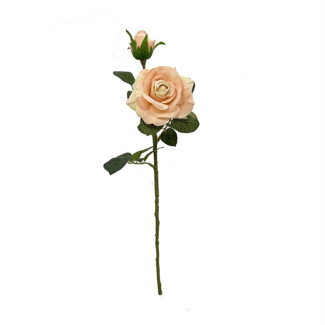 23202327074.jpg