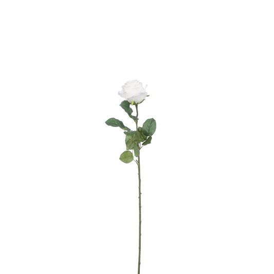 23207297649.jpg