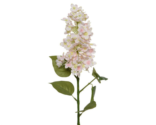23207300529.jpg