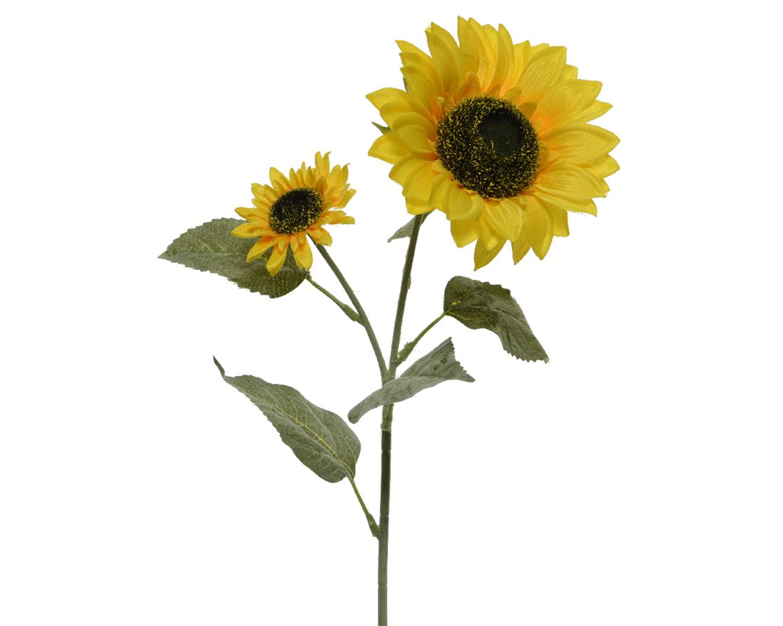 23207300618.jpg