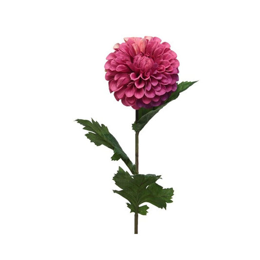 23207304270.jpg