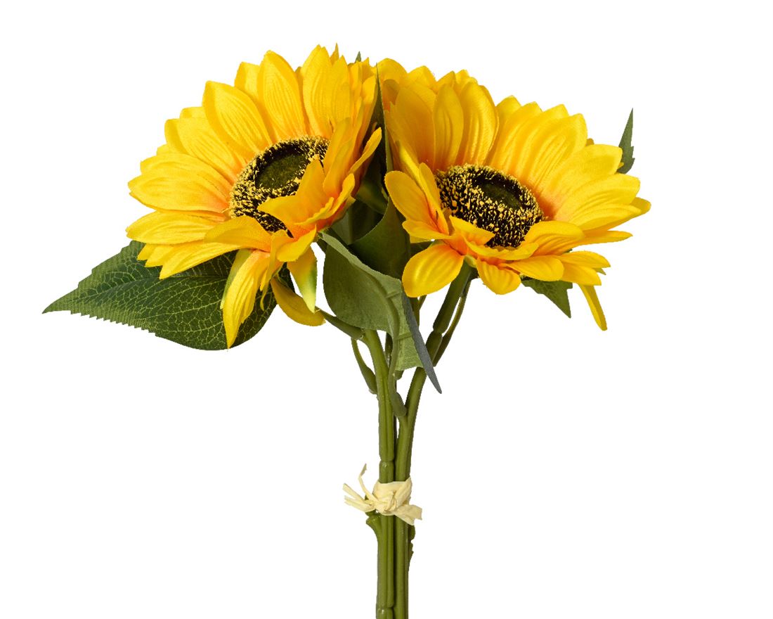 23207333594.jpg