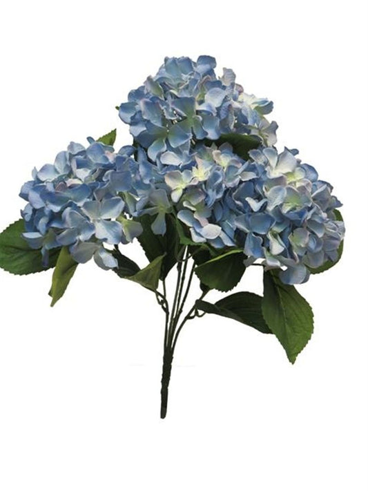 23214204314.jpg