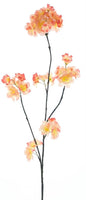 23214212435.jpg