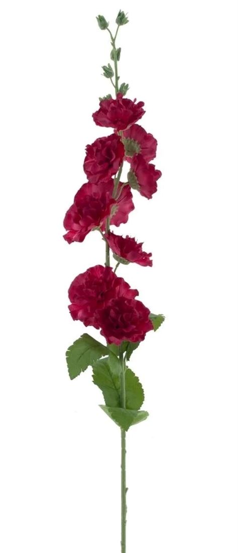 23214220213.jpg