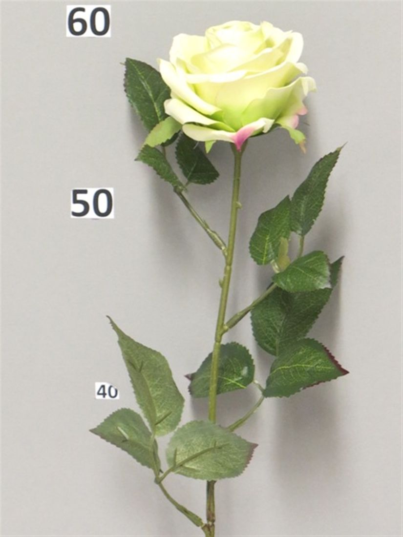 23214221721.JPG