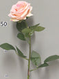 23214221728.JPG