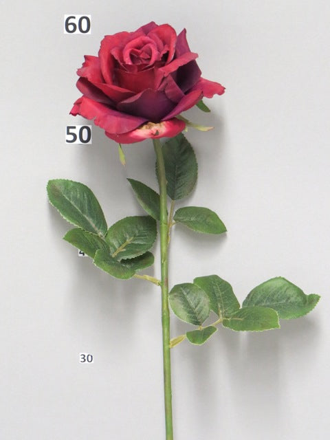 23214221983.JPG