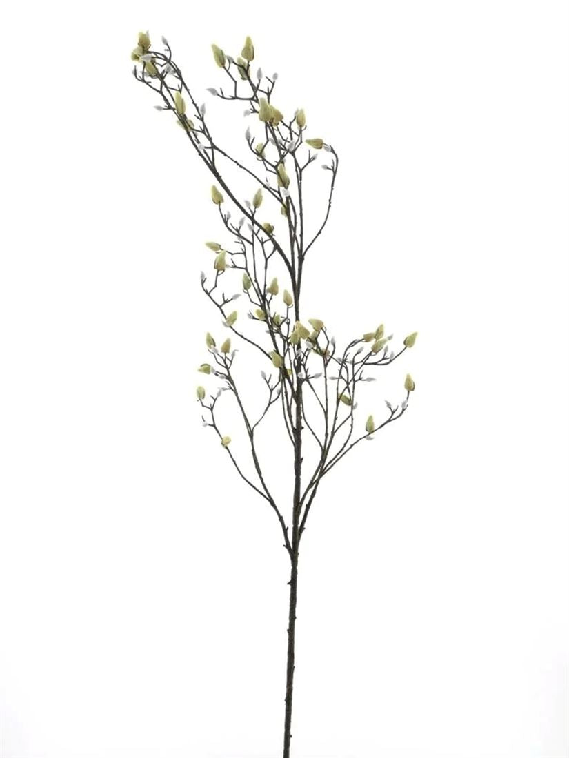 23214222089.jpg