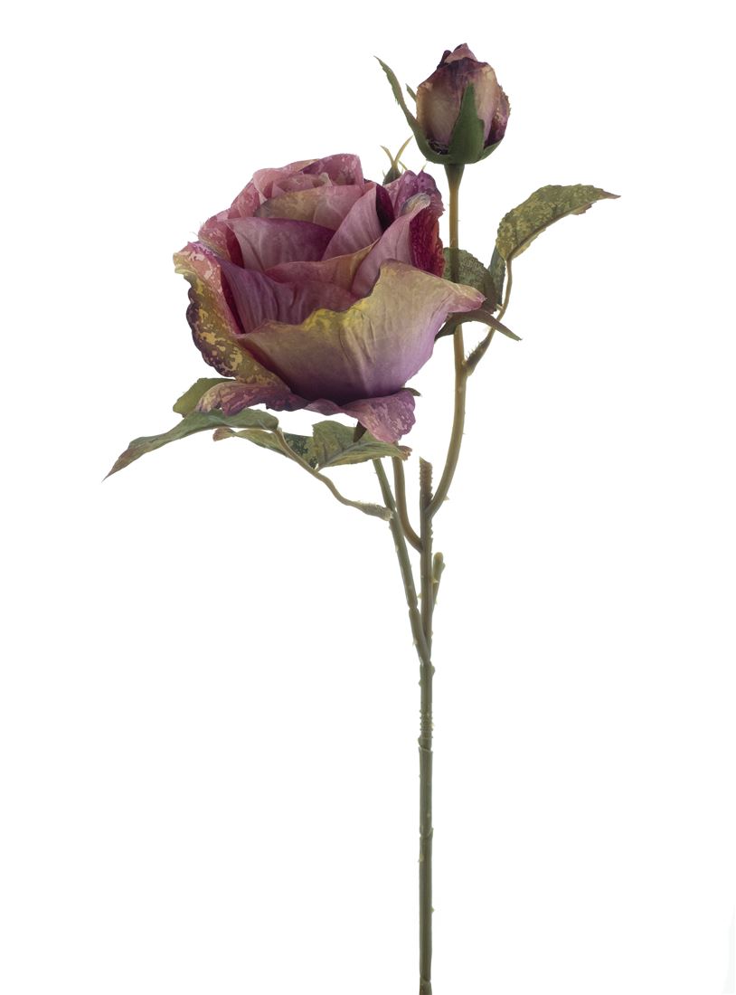23214223526.png