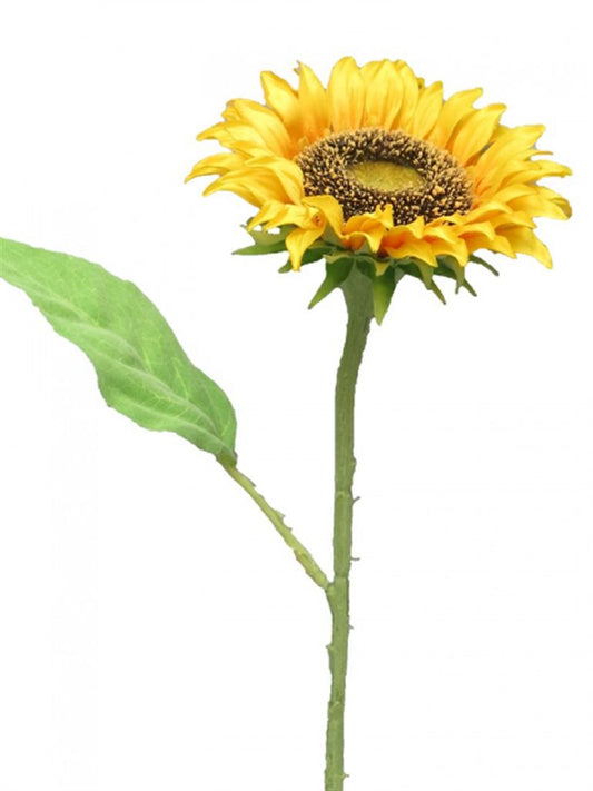 23214248522.jpg