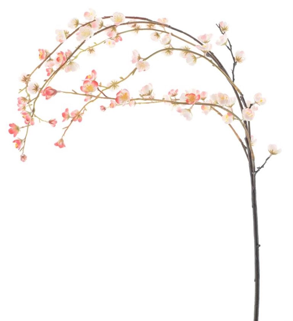 23214257397.jpg