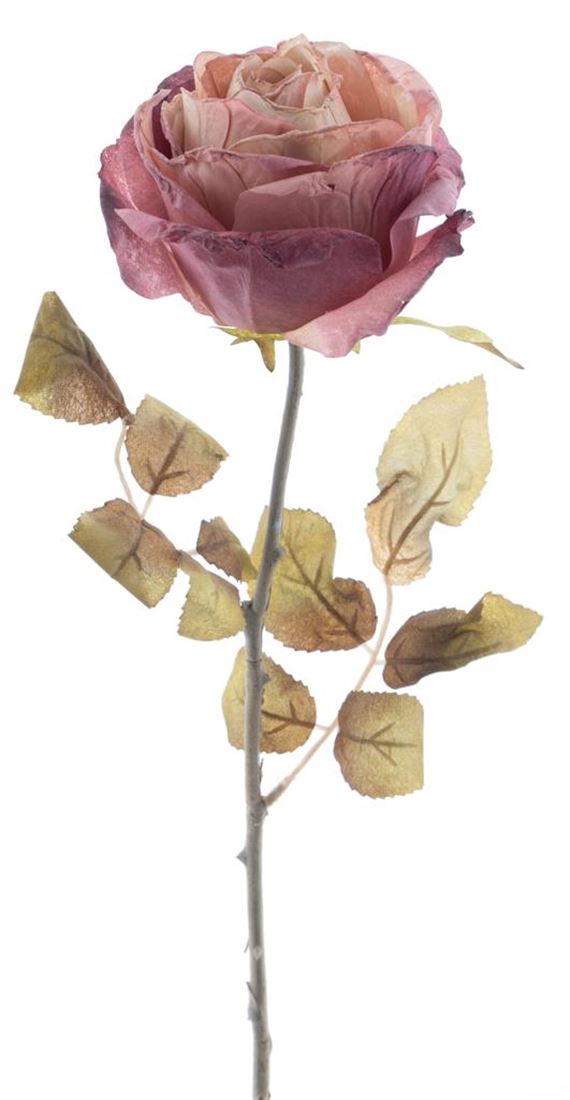 23214261267.jpg