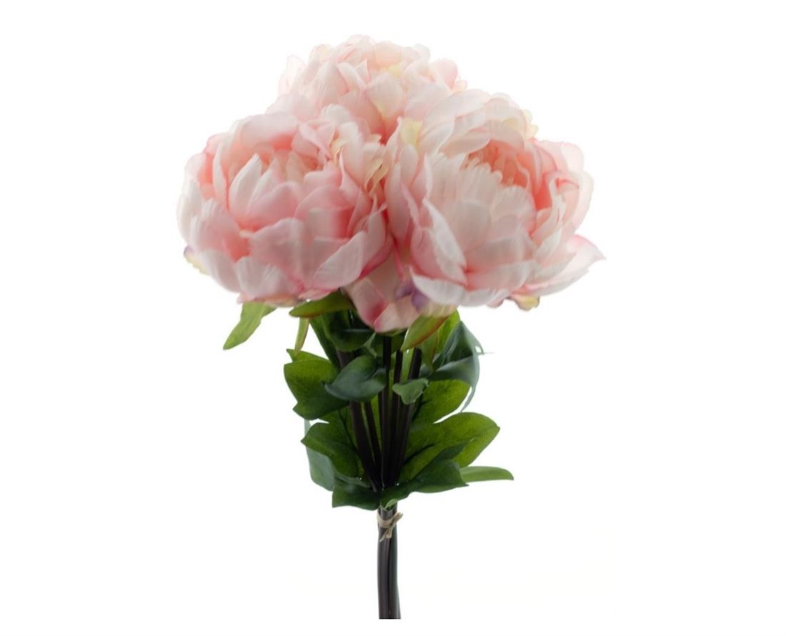 23214269877.jpg
