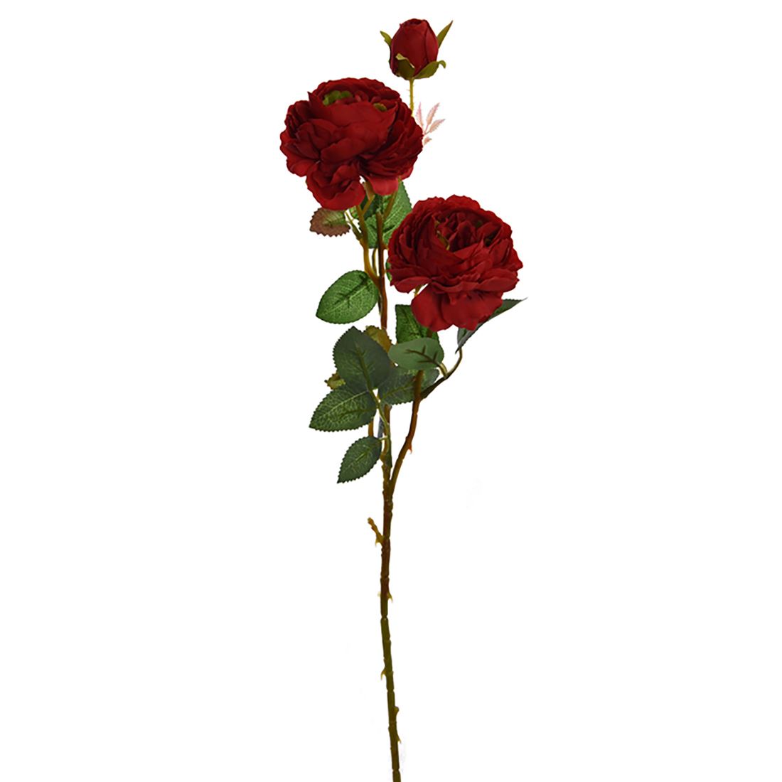 23233200818.jpg