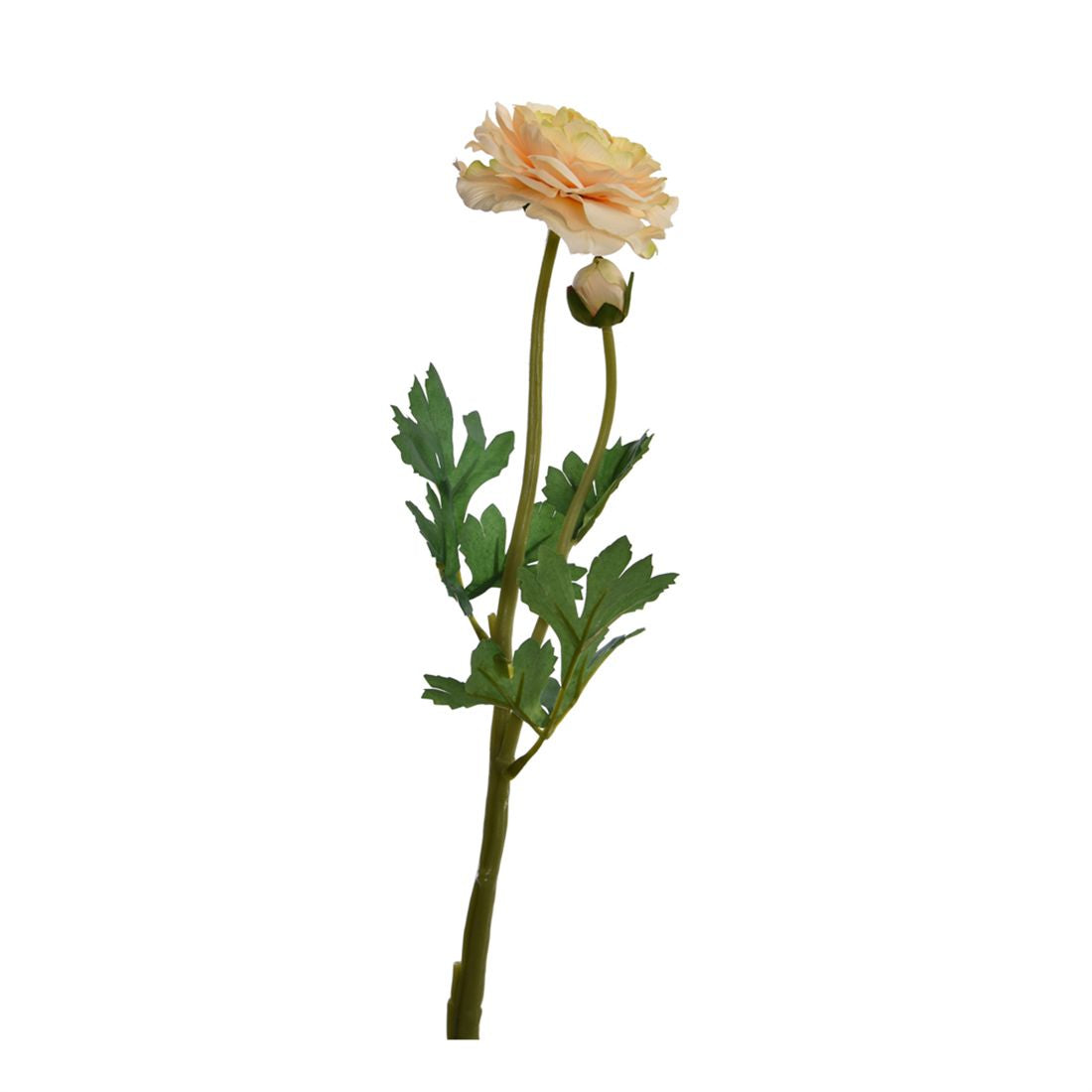 23233201112.JPG