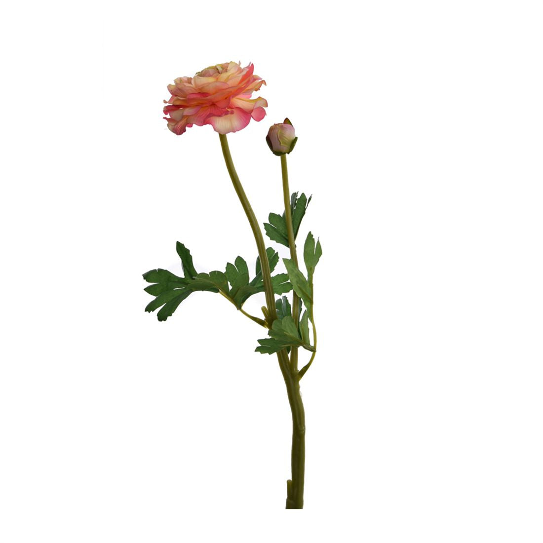 23233201113.JPG