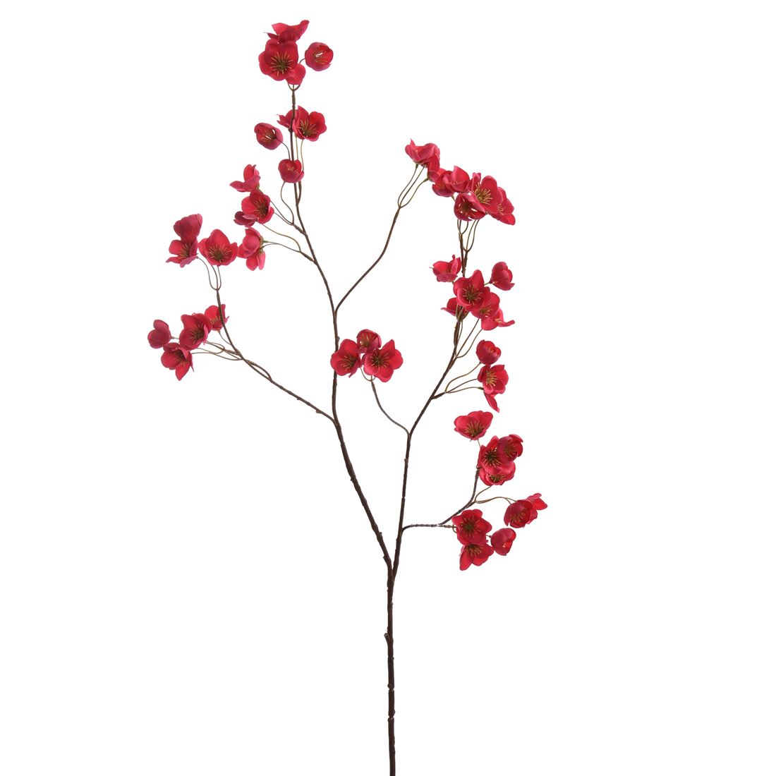 23233233107.jpg