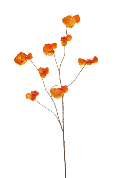 23233265910.JPG