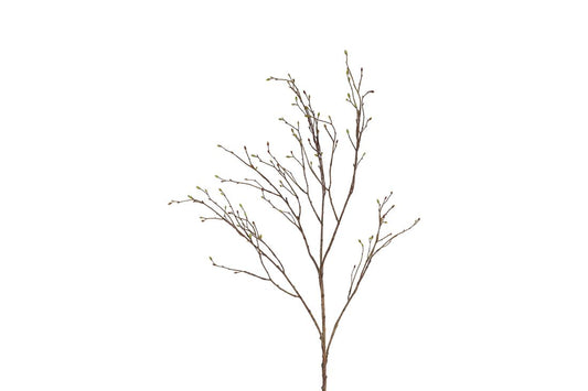 23247330209.jpg